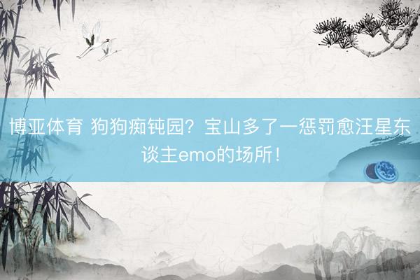 博亚体育 狗狗痴钝园？宝山多了一惩罚愈汪星东谈主emo的场所！
