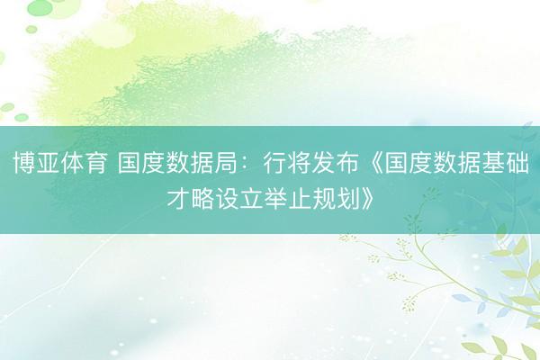 博亚体育 国度数据局：行将发布《国度数据基础才略设立举止规划》