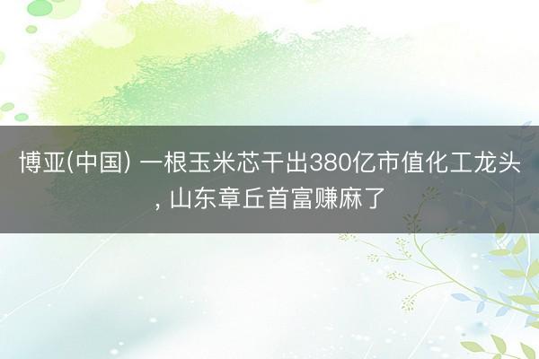 博亚(中国) 一根玉米芯干出380亿市值化工龙头， 山东章丘首富赚麻了