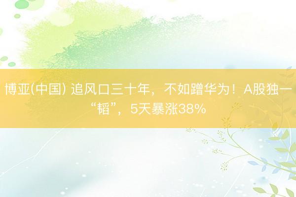 博亚(中国) 追风口三十年，不如蹭华为！A股独一“韬”，5天暴涨38%
