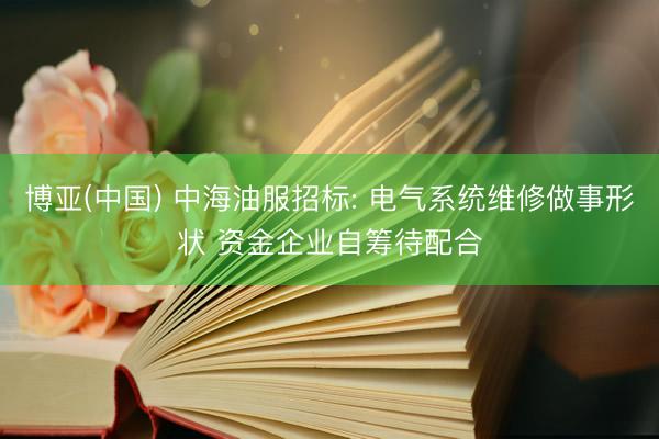 博亚(中国) 中海油服招标: 电气系统维修做事形状 资金企业自筹待配合
