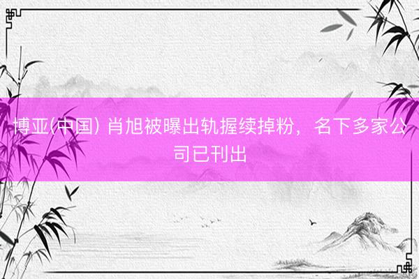博亚(中国) 肖旭被曝出轨握续掉粉，名下多家公司已刊出