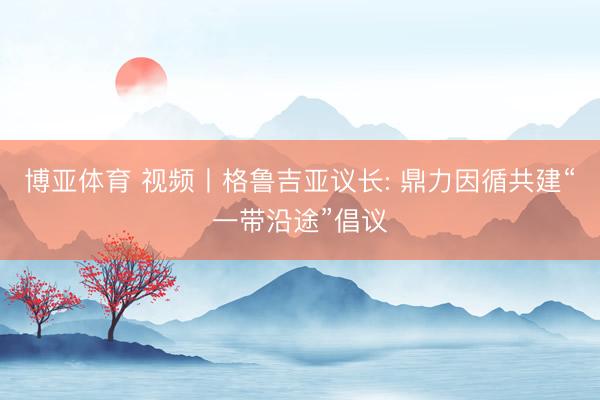 博亚体育 视频丨格鲁吉亚议长: 鼎力因循共建“一带沿途”倡议