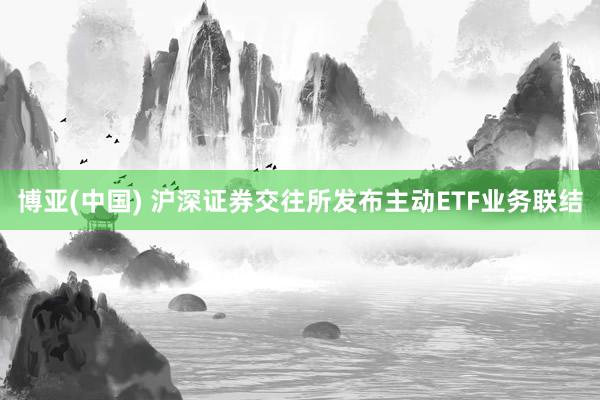 博亚(中国) 沪深证券交往所发布主动ETF业务联结